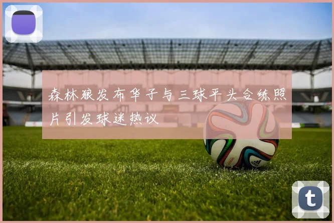 森林狼发布华子与三球平头合练照片引发球迷热议